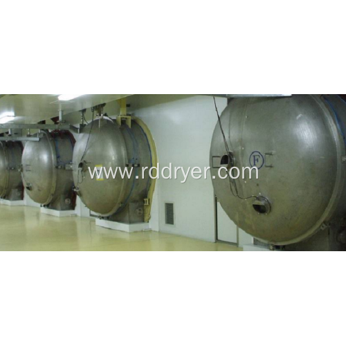 Vacuum Freeze Drying Machine for Pineapple Flakes